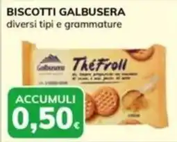 Basko Biscotti Galbusera Thé Froll offerta