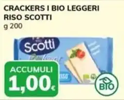 Basko Crackers i bio leggeri riso Scotti offerta