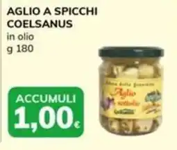 Basko Aglio a spicchi Coelsanus offerta