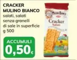 Basko Cracker Mulino Bianco offerta