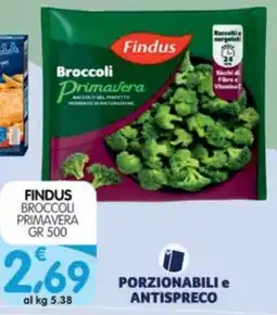 Le Delizie del Sud Findus Broccoli Primavera offerta