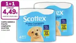 Basko Carta igienica pulito completo Scottex offerta