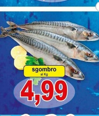 Pewex Filetti di sgombro offerta