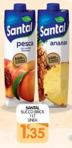 Le Delizie del Sud Santal succo brick offerta