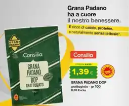 Tigre Amico Consilia Grana Padano DOP grattugiato offerta