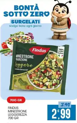 SpesAmica Findus Minestrone Leggerezza offerta