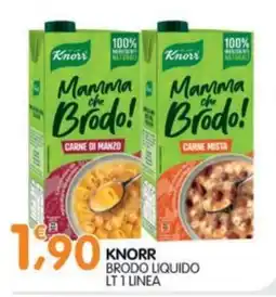 Le Delizie del Sud Knorr Brodo liquido offerta