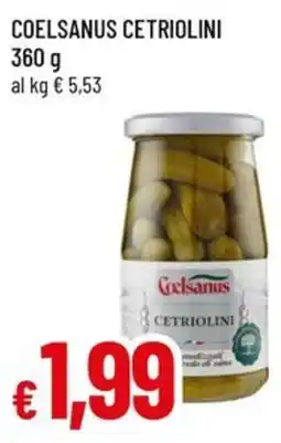 Galassia superstore Coelsanus cetriolini offerta