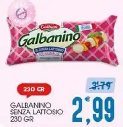 SpesAmica Galbanino senza lattosio offerta