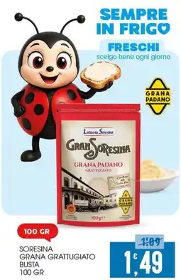 SpesAmica Soresina Grana Grattugiato offerta