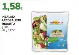 Basko Insalata arcobaleno mioorto offerta