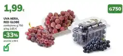 Basko Uva nera, red globe offerta