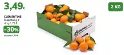 Basko Clementine Nonna Mica offerta
