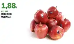Basko Mele red melinda offerta