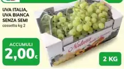 Basko Uva bianca senza semi Natura offerta