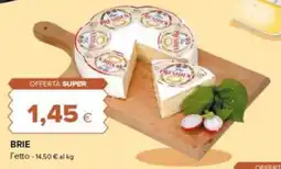 Tigre Amico Brie President offerta