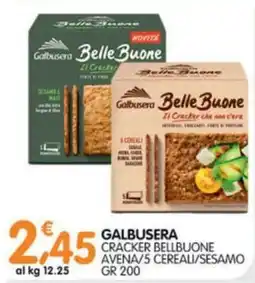 Le Delizie del Sud Galbusera cracker bellbuone offerta