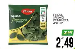 SpesAmica Findus Spinaci Primavera offerta