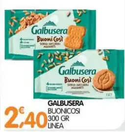 Le Delizie del Sud Galbusera Buonicosi offerta