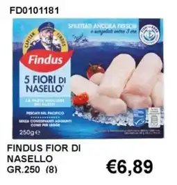 Italy Cash and Carry Findus fior di nasello offerta