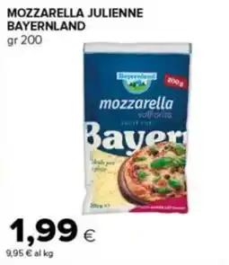 Tigre Amico Mozzarella julienne Bayernland offerta