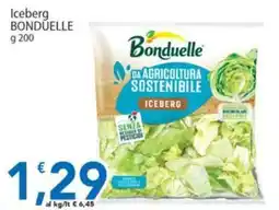 Sidis Iceberg Bonduelle offerta