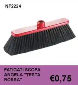 Italy Cash and Carry Fatigati scopa angela testa rossa offerta