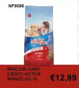 Italy Cash and Carry Miglior cane crocc active manzo offerta