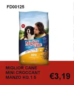 Italy Cash and Carry Miglior cane mini croccant manzo offerta