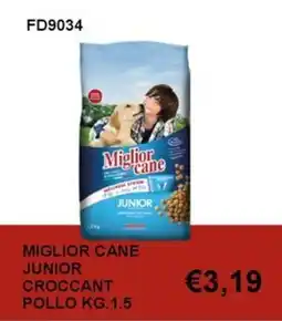 Italy Cash and Carry Miglior cane Junior croccant offerta