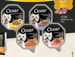 Galassia Cesar Alimento Per Cani offerta