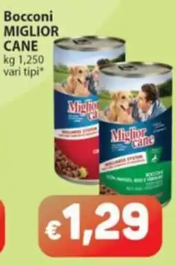 Sidis Bocconi Miglior Cane offerta