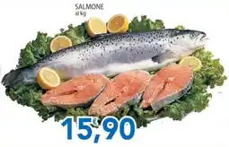 Sidis Salmone offerta