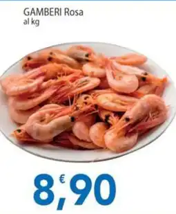 Sidis Gamberi Rosa offerta