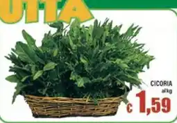Top Supermercati Cicoria offerta