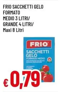 Galassia superstore Frio sacchetti gelo formato medio offerta