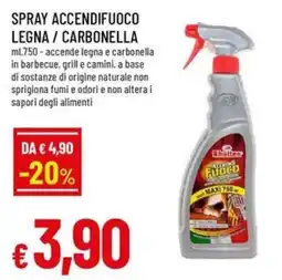 Galassia superstore Spray accendifuoco legna / carbonella Rhütten offerta