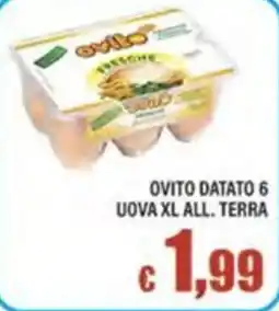 Top Supermercati Ovito uova xl all. terra offerta