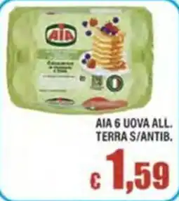 Top Supermercati Aia 6 uova all. terra s/antib. offerta