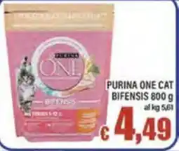 Top Supermercati Purina One Cat Bifensis offerta