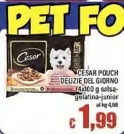 Top Supermercati Cesar Delizie del giorno salsa-gelatina-junior offerta