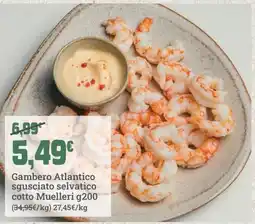 Banco Fresco Gambero Atlantico sgusciato selvatico cotto Muelleri offerta