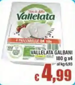Top Supermercati Mozzarelle da 110g offerta