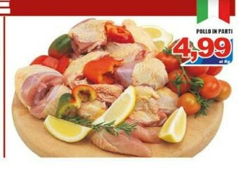 Sacoph Pollo offerta