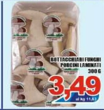 Sacoph Funghi porcini offerta