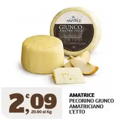 Il Punto Sigma Amatrice pecorino giunco amatriciano offerta