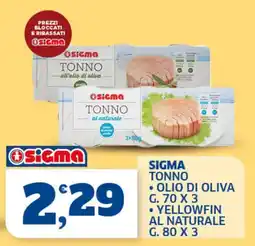 Il Punto Sigma Sigma tonno offerta