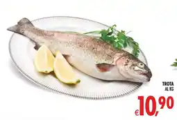 Deco Superstore Trota offerta