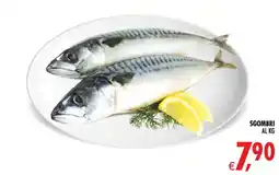 Deco Superstore Sgombri offerta