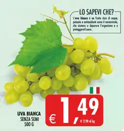 Deco Superstore Uva bianca senza semi offerta